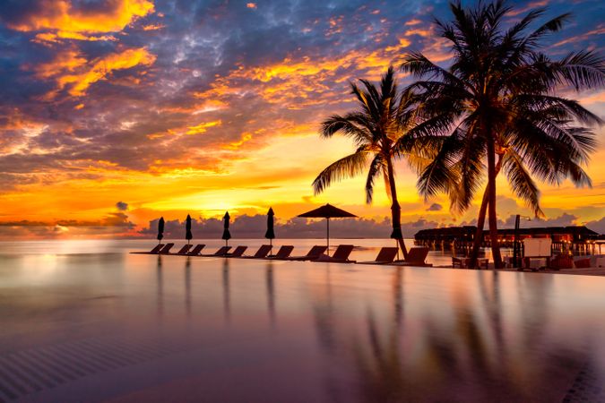 Beautiful sunset with silhouette of palm tree