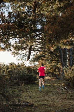 Sportsman running on countryside