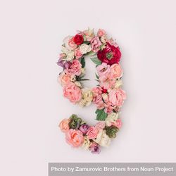 Number 9 made of real natural flowers and leaves 4NZE84