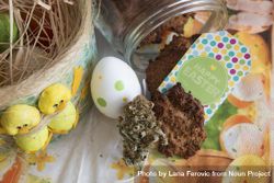 Top view of dried marijuana bud and cookies with Easter decorations 0y7374