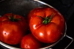 Organic ripe heirloom tomatoes being washed in bowl