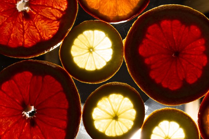Sliced citrus fruits against light