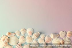 Seashell pattern on gradient pastel pink and blue background 56DOzb