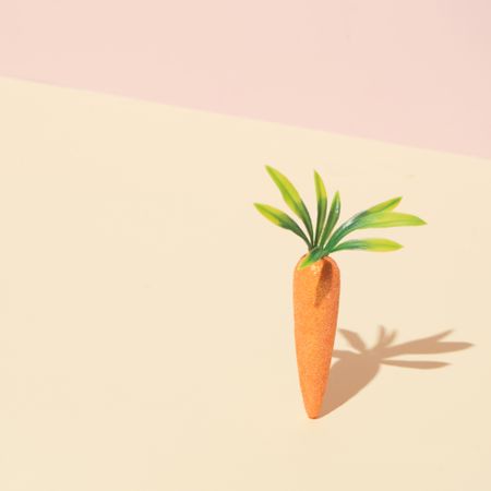 Carrot on pastel yellow background