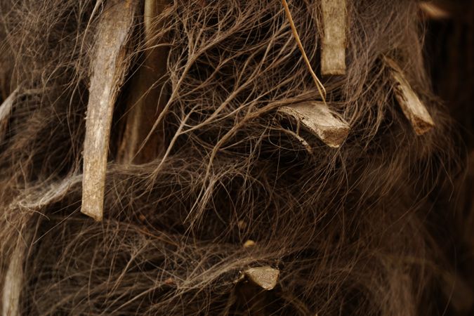 Thin tree sticks and dirty wool