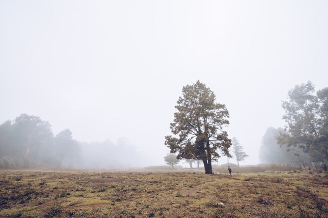 Hiker walking on foggy rural field