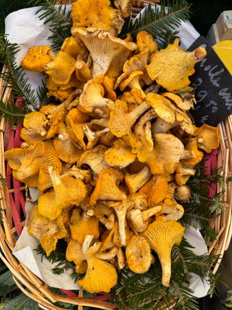 Yellow chanterelle mushrooms in basket for sale at market