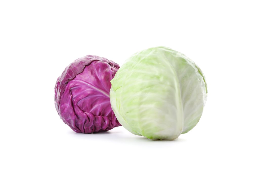 Red and green cabbage isolated on plain background