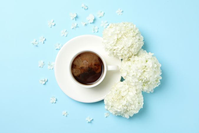 Composition with hydrangea flowers and coffee on blue background