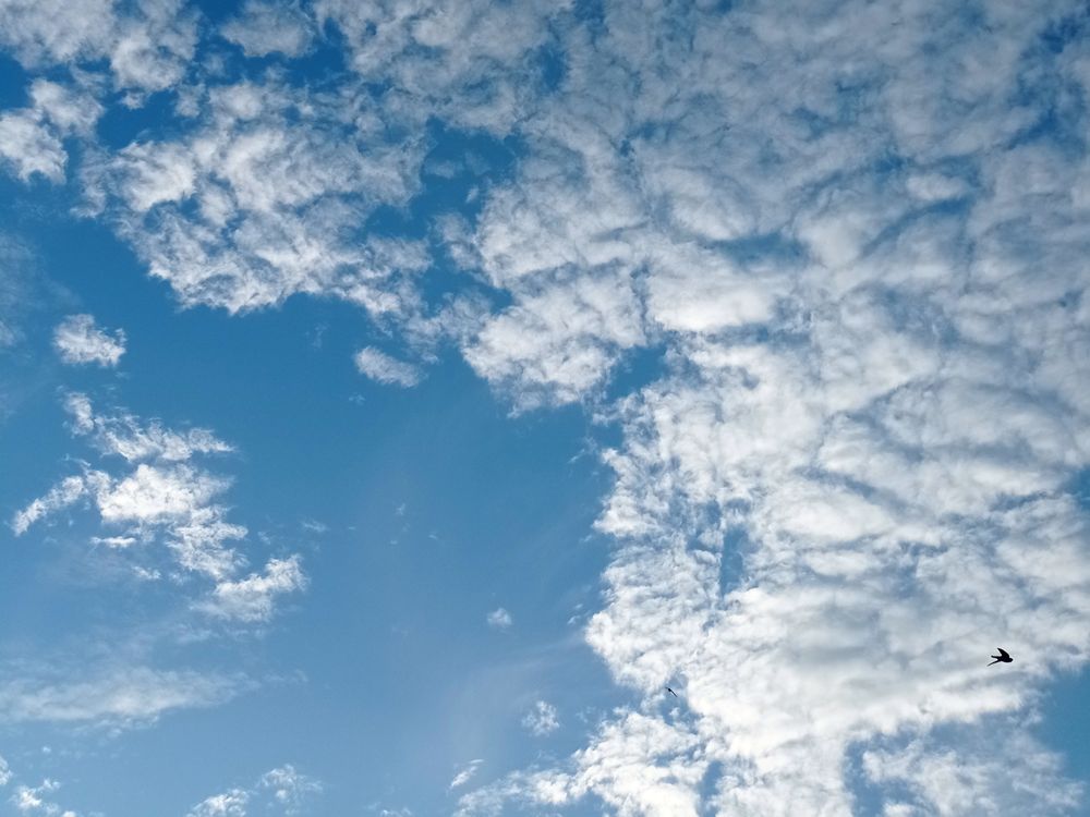 blue sky and cirrocumulus clouds