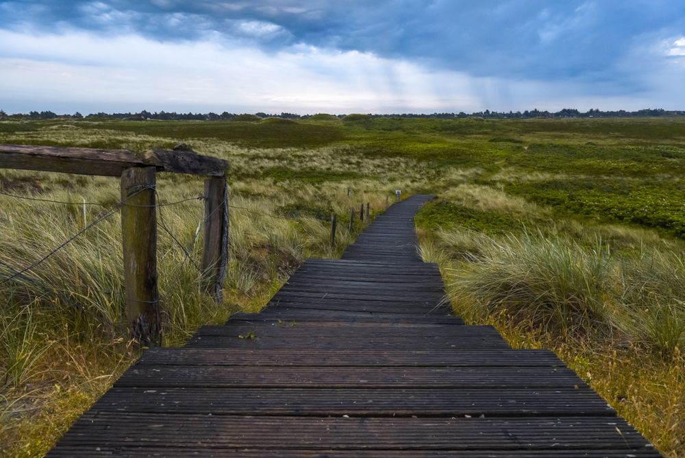 Wooden pedestrian path in grassy field leading towards the coast