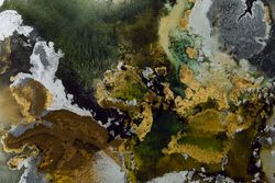 Alcohol Ink Fluid Art
