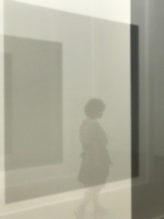 Reflection of person walking in hall