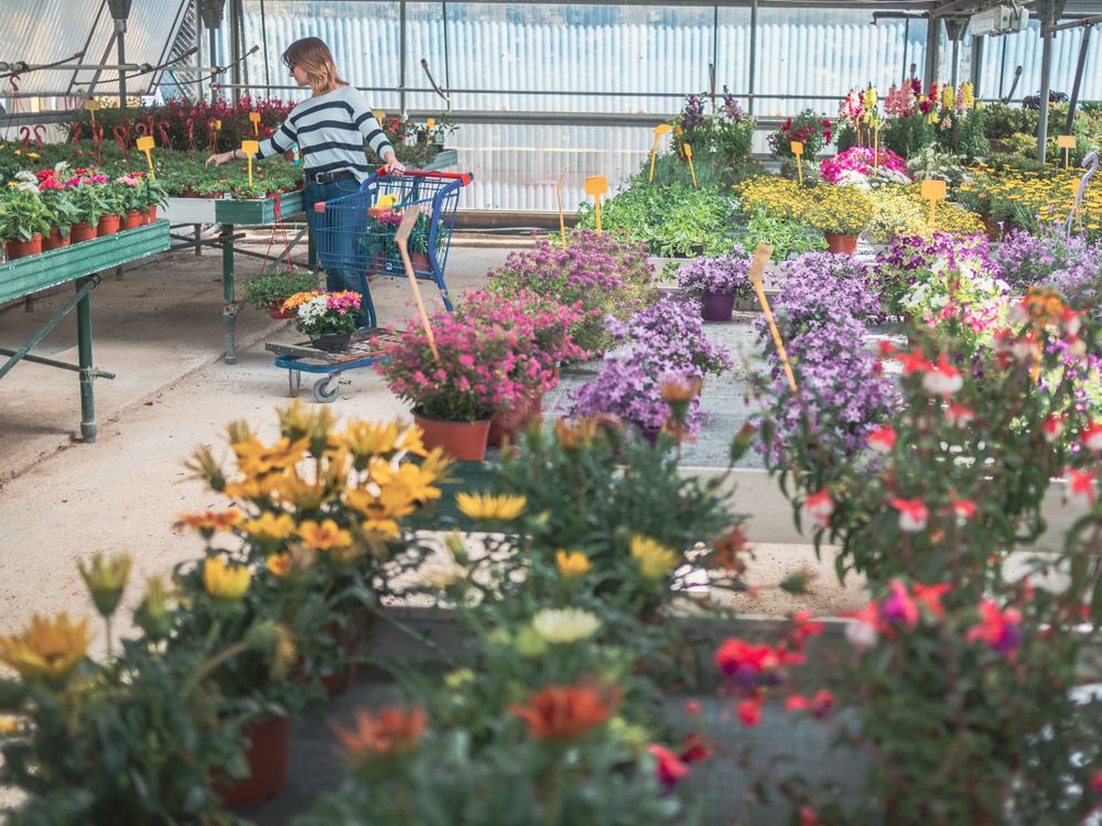 Female customer with cart on flower market
