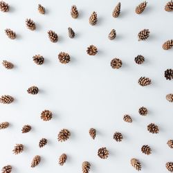 Winter forest aerial made of pinecones