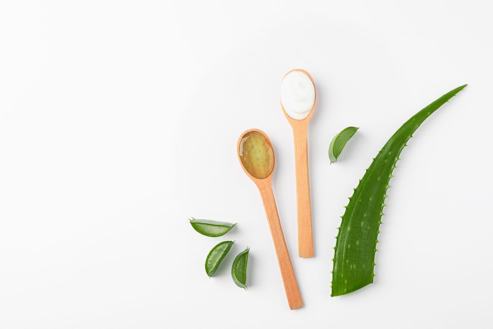 Flat lay composition with natural treatment accessories on plain background, space for text. Aloe vera
