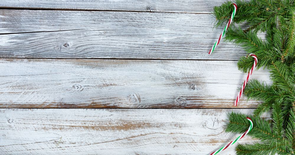 Christmas evergreen branches and candy cane ornaments on rustic knotty wooden background