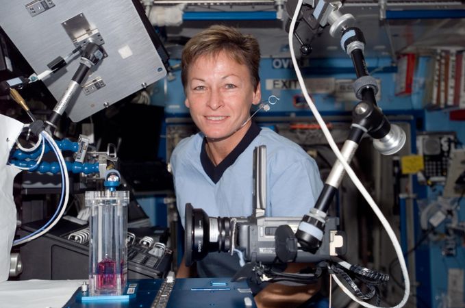 Astronaut Peggy A Whitson, Expedition 16 commander, prepares the Capillary Flow