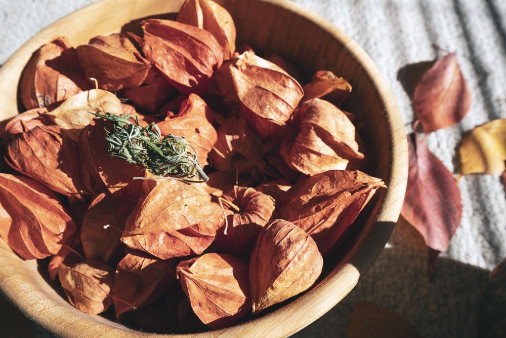 Bowl of physalis fruit in bowl on picnic table