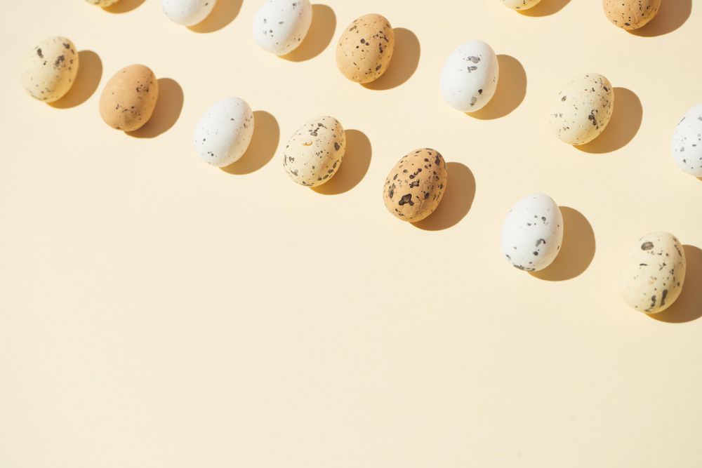 Speckled eggs  in rows on pastel yellow background