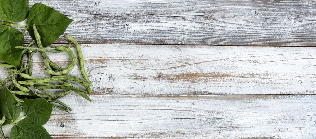 Overhead view of green pole beans freshly harvested on rustic wood