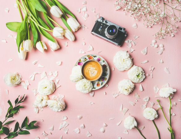 Coffee, camera, tulips artfully arranged on pink background