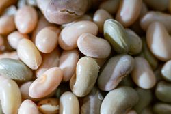 Boiled beans