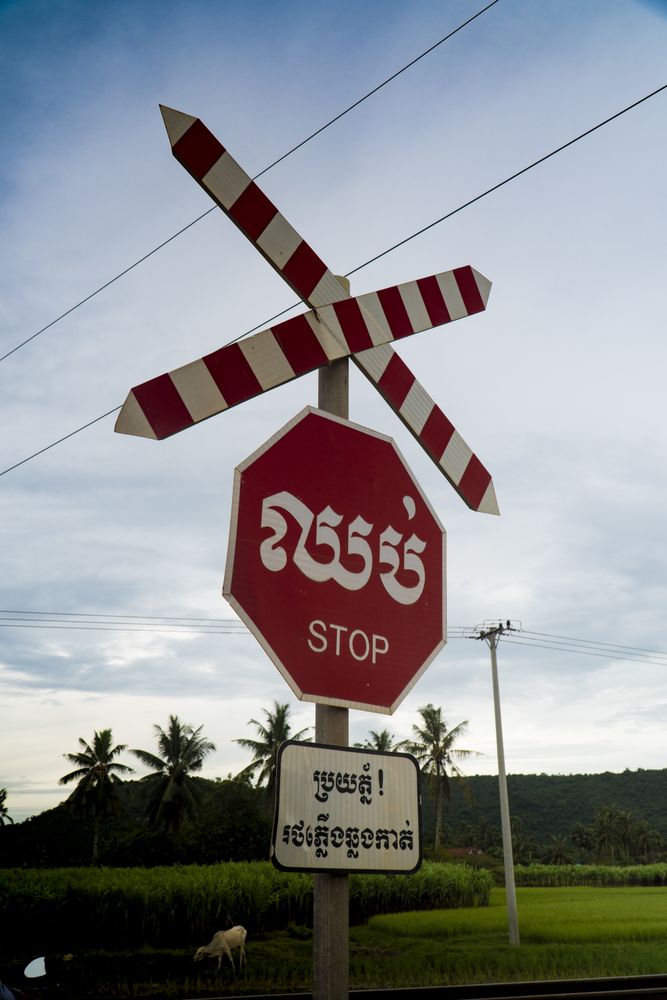 Stop sign on rural roadside