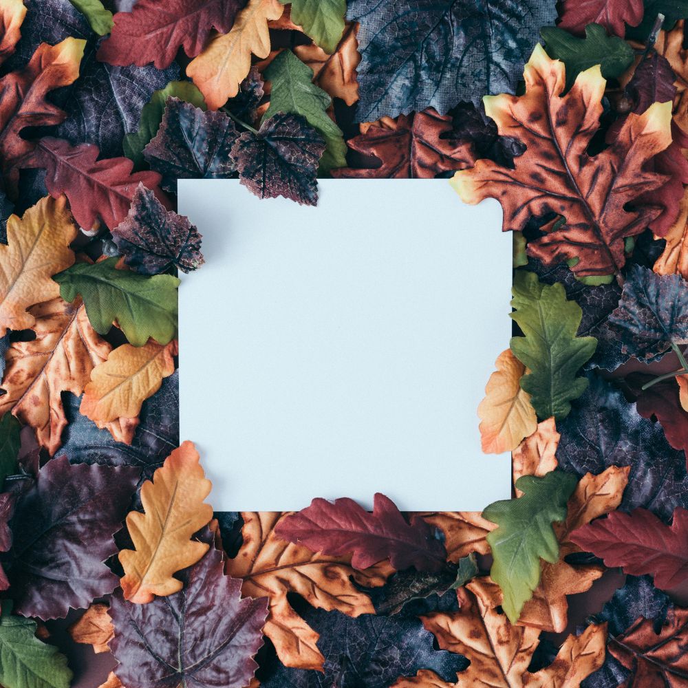Fall leaves of amber, dark, green, and maroon surrounding paper square