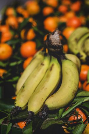 street market of assortment of fresh fruits and vegetables