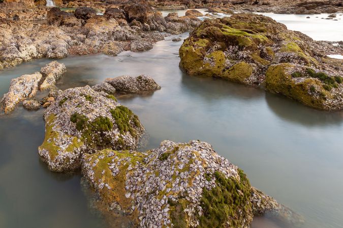 Coral Reef