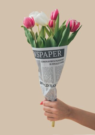 Hand holding spring tulips flowers wrapped in newspapers with Global Pandemic headline