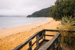 Sandy beach and green forest in Pancake Rocks