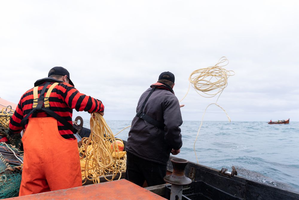 Two fishermen throwing nets to catch lobsters in the sea