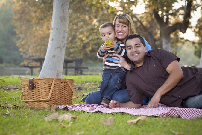 Family Having a Picnic In The Park