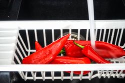 Fresh red pepper being cleaned in sink