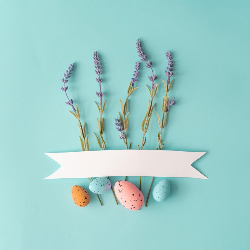Spring composition made with lavender flowers and eggs on bright blue background