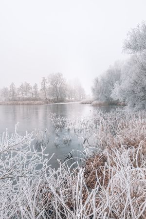 Lake on a wintry day with frozen grass