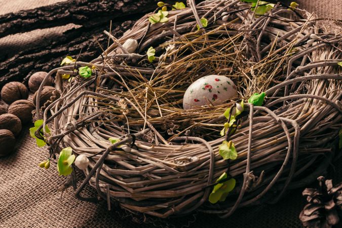 Decorated Easter egg in bird nest