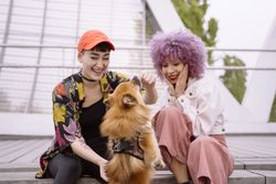 Women in colorful shirt and with pink hair training dog and having fun