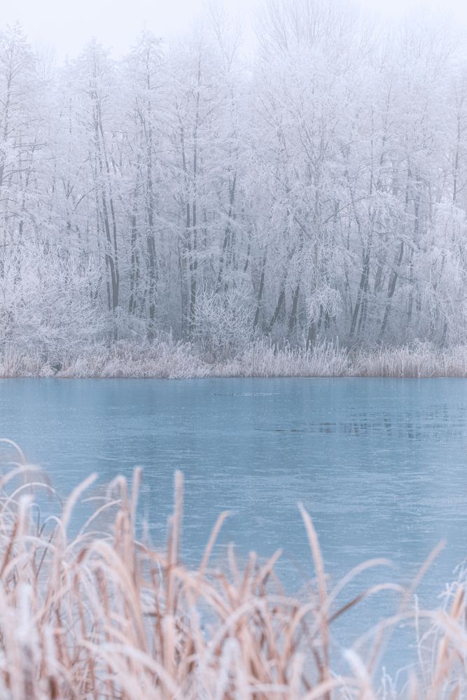 Lake on a winter day