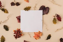 Fall leaves and gold branches on sand pastel background with square paper