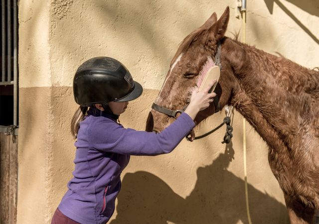 Woman and girl brushing horse