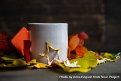 Side view of hot beverage in a mug surrounded by fall leaves and star decoration 4AYnz4