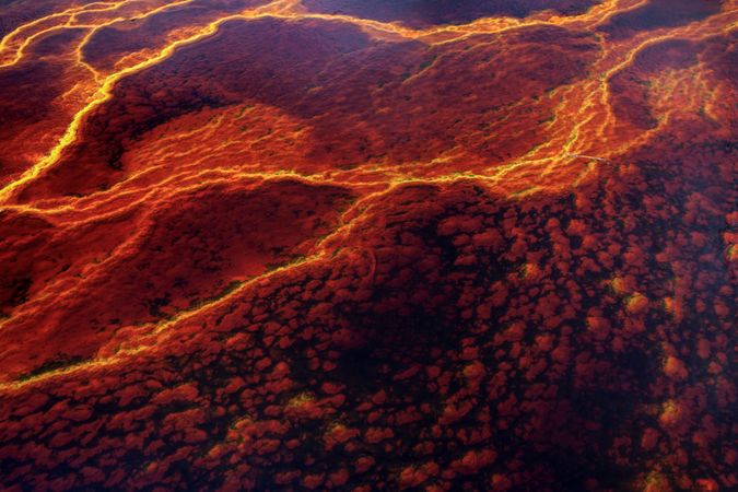 Bright orange splashes in nature