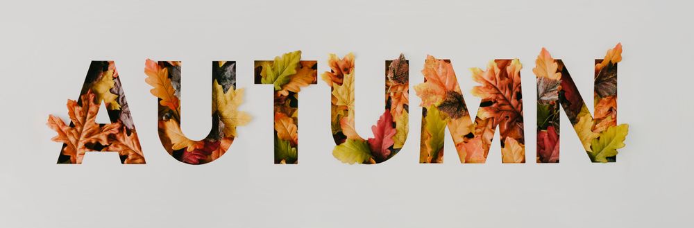 “AUTUMN” with colorful leaves cut out of light paper