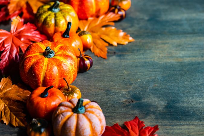 Autumn pumpkin decorations and leaves with space for text