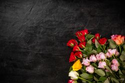 Colorful rose flowers with mock up frame