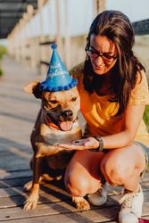 Smiling young woman petting brown dog in party hat
