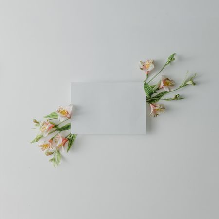 Flowers on light background with paper card